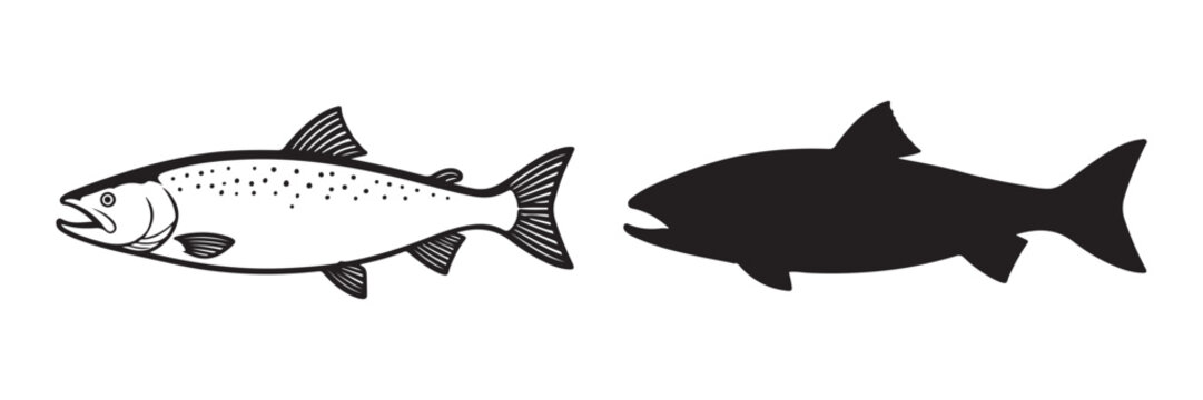 salmon trout silhouette vector, freshwater fish vector, fish tattoo