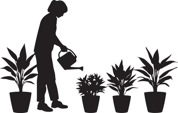 Silhouette of a person watering potted plants watering