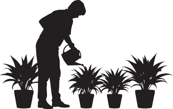 Silhouette of a person watering potted plants pots