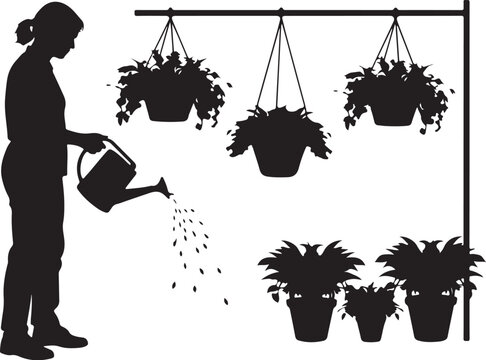 Silhouette of a person watering potted plants, hanging