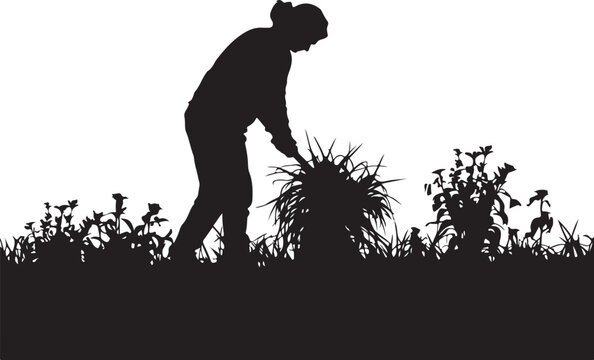 Silhouette of a woman tending to plants in a garden gardening
