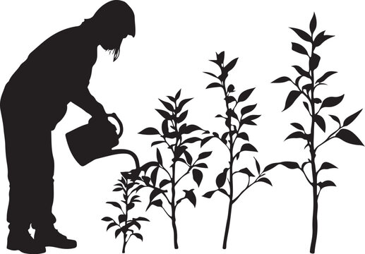 Silhouette of a woman watering plants with a watering