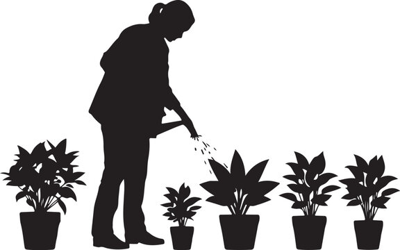 Silhouette of a woman watering potted plants