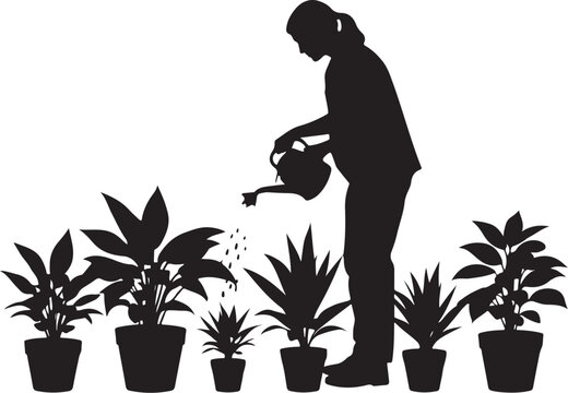 Silhouette of woman watering potted plants watering