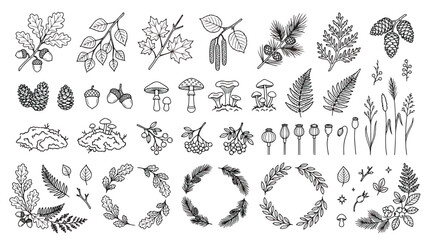Vintage forest botanical line art collection, hand drawn woodland leaves and mushrooms vector set, rustic floral wreaths and autumn foliage elements © Dream Time Studio