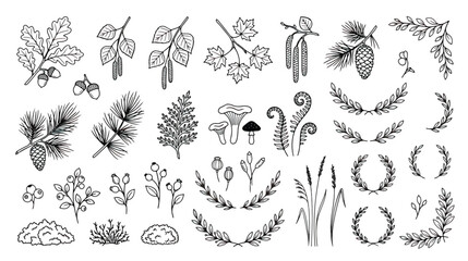 Vintage forest botanical line art collection, hand drawn woodland leaves and branches vector set, rustic floral elements for wedding invitations © Dream Time Studio