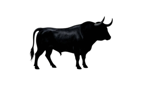Silhouette of a Traditional Spanish Fighting Bull (Toro Bravo)