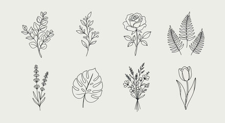 Fototapeta premium Line Art Botanical Illustrations of Wild Plants and Herbs in Minimalist Black and White Style