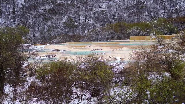 A steady medium shot framing turquoise travertine terrace pools visible through snow-dusted trees on a winter day at Huanglong Scenic Spot.
