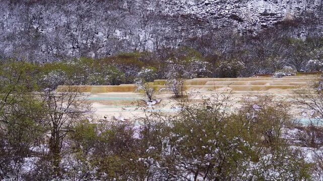 A wide shot of golden travertine terraces and turquoise pools nestled within a snow-dusted forest landscape.
