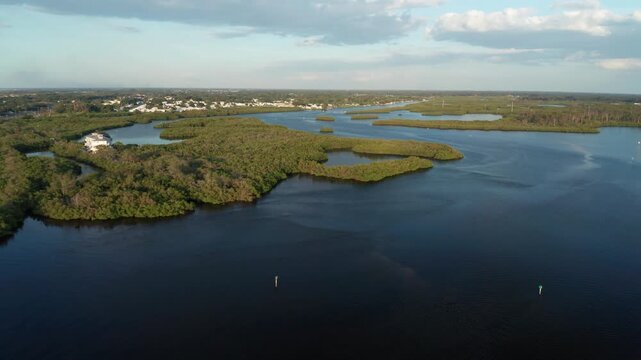 The Braden River winds through dense mangrove islands under a soft evening sky. Ideal for nature documentaries or environmental projects.