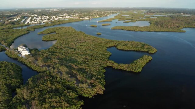 Lush mangrove channels weave through a wide waterway near a housing development. Ideal for environmental studies or real estate showcases.