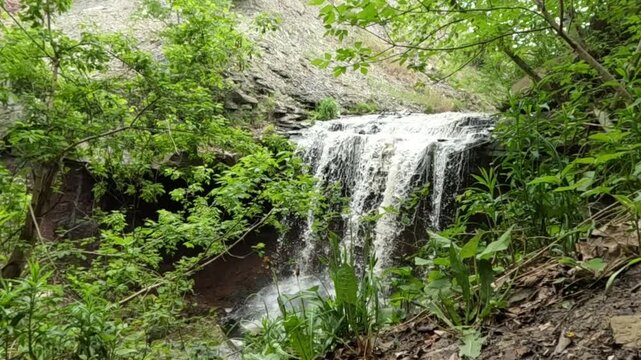 Slow motion 240fps footage of Devil's Punch Bowl waterfall in Hamilton, Ontario, Canada. Crystal clear cascading water surrounded by lush greenery in natural daylight.