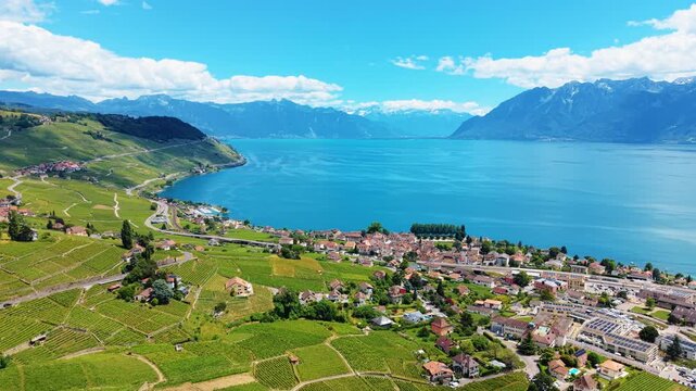 Aerial: Lavaux terraced vineyards, Lake Geneva and Cully cityscape during the day in Cully, canton of Vaud, Switzerland, dolly in drone shot