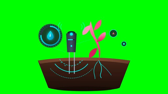 Smart Agriculture Soil Moisture Sensor Monitoring Plant on Green Screen Background for IoT Farming.. 4k Footage SVG Loop Animation