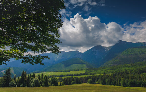 Sunlit green mountain valley with meadow, forested slopes in Zakopane Tatras mountains