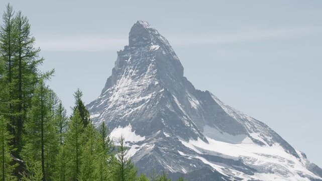 Majestic matterhorn peak with its snowy slopes rising above a lush green larch forest in switzerland