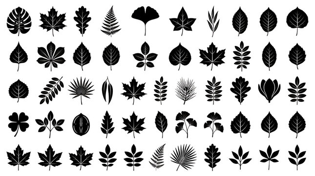 Black Leaf Silhouettes Mega Set, Isolated Transparent Foliage Icons and Botanical Shapes Collection