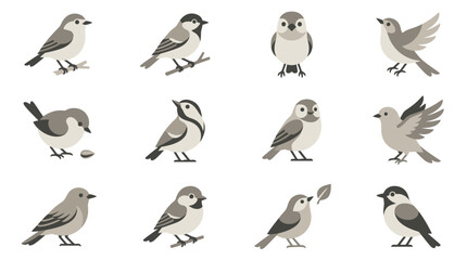 Assorted bird species icons on white background. © agus