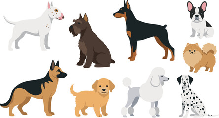 Obraz premium Different Dog Breeds Cartoon Characters Collection with German Shepherd Doberman Poodle Dalmatian Bull Terrier and Pomeranian for Pet Care Shop Icon Flat Vector Illustration