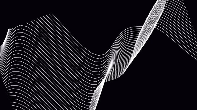 White linear waves flowing in rhythmic motion on black background video. White linear waves undulate across a deep black background creating a rhythmic and smooth digital motion