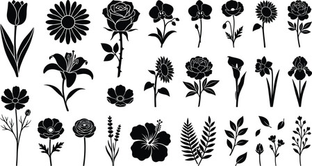 Flower silhouette vector bundle featuring rose tulip daisy lily sunflower hibiscus orchid and botanical leaves isolated on white background. © MSTNAJMA