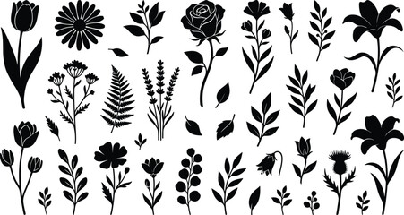 Botanical flower silhouette vector set with wild rose daisy lavender fern branch and garden floral elements isolated on white background. © MSTNAJMA