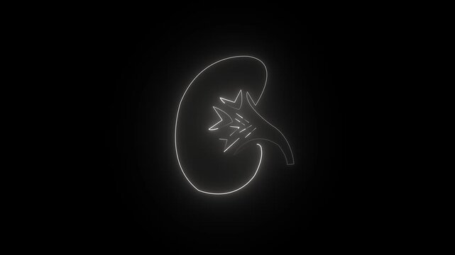 Glowing white neon human kidney icon animation medical organ health care abstract symbol 4k animation video