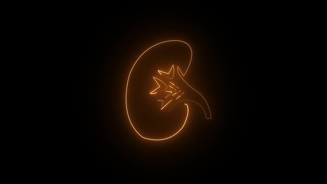 Glowing orange neon human kidney icon animation medical organ health care abstract symbol 4k animation video