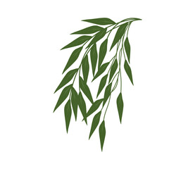 Fototapeta premium Minimalist leaf vector. Illustration of a branching green leaf. Minimalist green leaf decoration. Branching leaf vector. Simple minimalist leaves