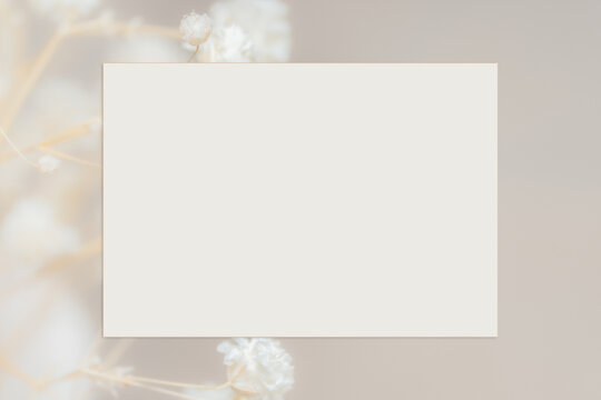 Minimalist neutral beige wedding invitation card template with blurred gypsophila flowers frame