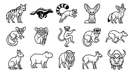 Exotic wild animal line art icons, set of 15 black and white wildlife vector illustrations, minimalist nature fauna collection for educational design © ALI