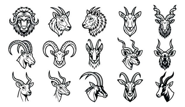 Vintage goat head line art collection, set of 15 wild animal icons with horns, black and white mountain goat and ram vector illustrations for logos