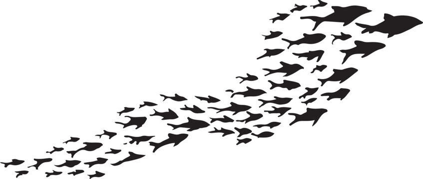 School of fish, black silhouette icons, vector flock, swimming fish