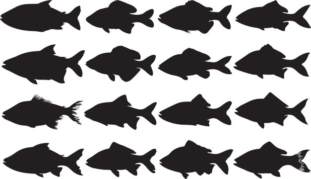Black fish silhouettes, fish icons, seafood symbols, vector illustrations
