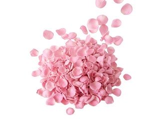 Obraz premium Pink cherry blossom petals falling