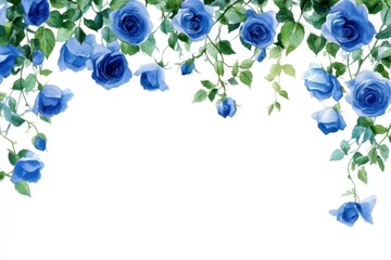 Obraz premium Hanging blue roses illustration watercolor flowers.