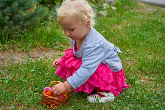 little girl squats on green grass and plays with basket of flowers, Happy childhood, weekend at the dacha and outdoor recreation