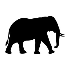 Fototapeta premium Silhouette of an Elephant Walking in Profile.