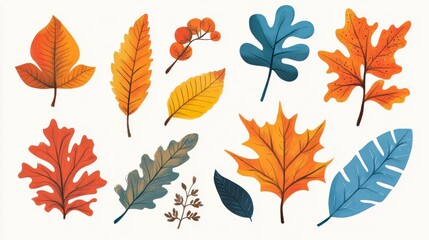 Fototapeta premium Collection of autumn leaves in various colors and shapes, isolated on white background.
