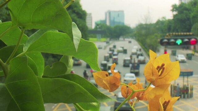 Fresh Green Leaves Framing Blurred Highway Traffic in Natural Urban Environmental Scene