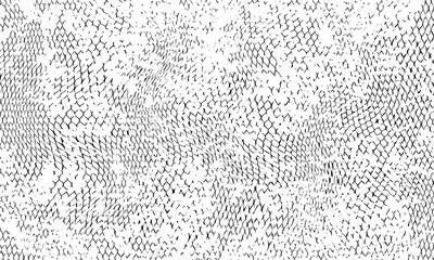 Abstract black and white grunge fish scale texture background. © Pandawa