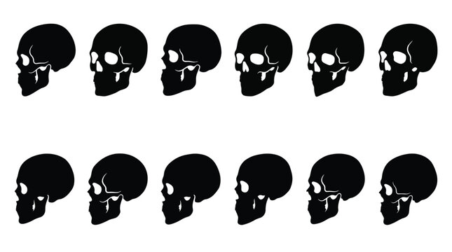 Set of human skulls in different angles, vector illustration