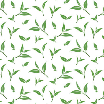 Seamless Green Tea Leaves Pattern in Flat Vector Style