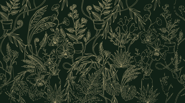 Dark green fern leaf pattern design.