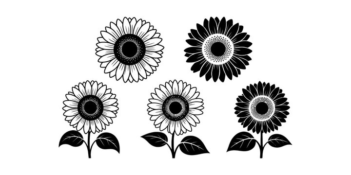 Black and white sunflower flower silhouettes icons set