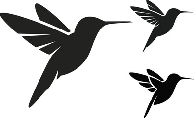 Fototapeta premium Hummingbird silhouette set isolated on white background featuring three black colibri birds in flight vector illustration for graphic design