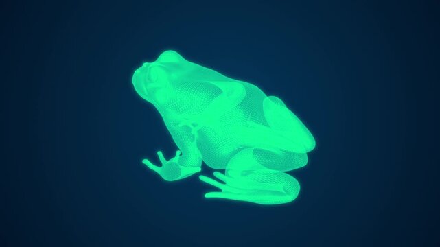 4K video of a 3D holographic frog displayed on a computer screen.