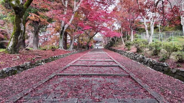 Bishamondo Temple Autumn Foliage in Kyoto Japan Scenery Jan 26 2025
