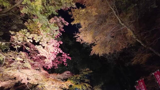 Daigo Ji Temple Pagoda Reflected in Tranquil Pond Jan 26 2025
